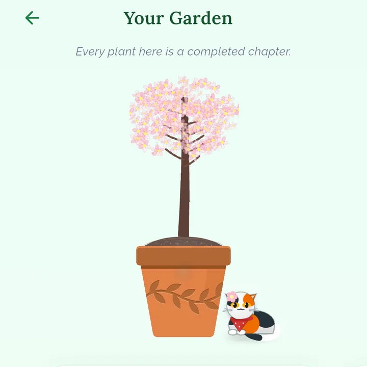A finished cherry blossom in the garden of completed plants