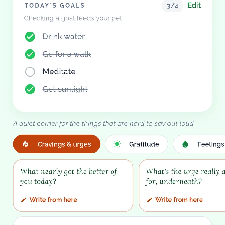 A daily goals checklist with three of four ticked