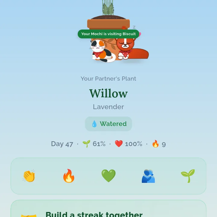 A partner's lavender plant, streak and check-in status